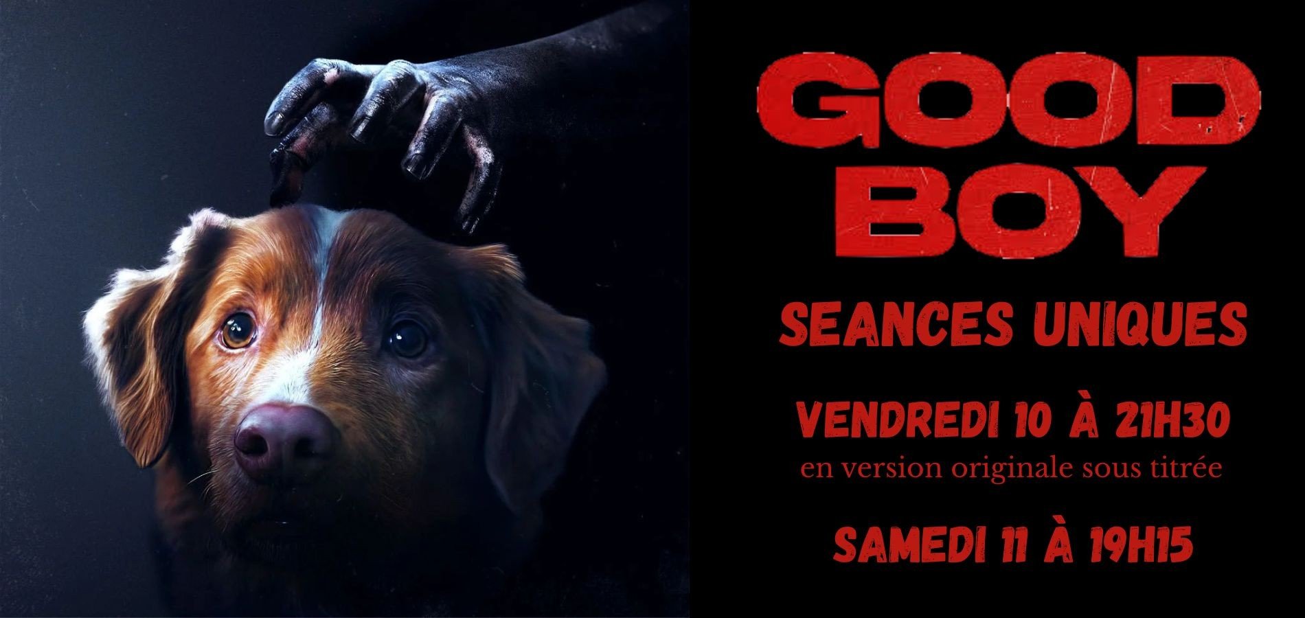 actualité good boy