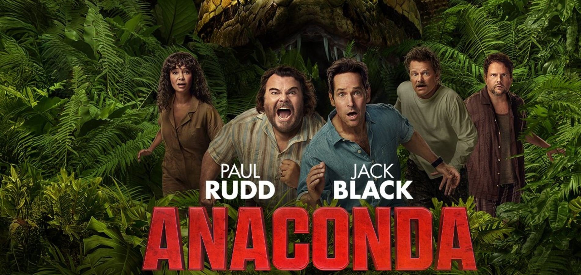 actualité anaconda